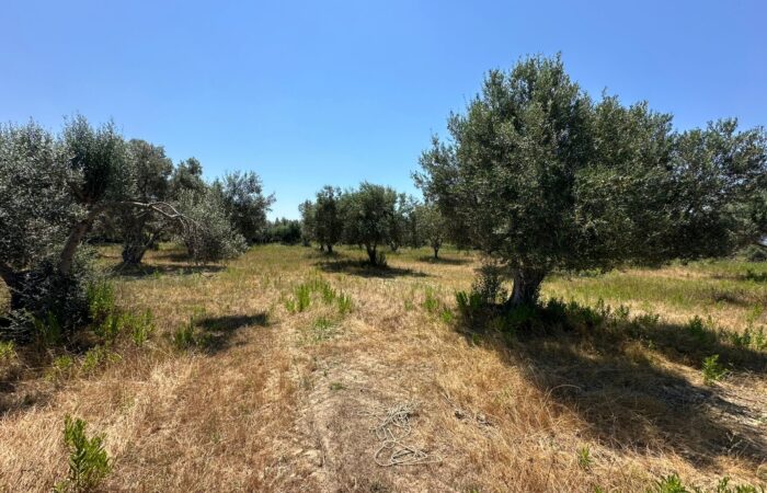 7d8c9dd3-4ad2-4050-b67e-4d4440a3b59d