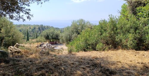 IMG_20250814_121623 – Αντιγραφή