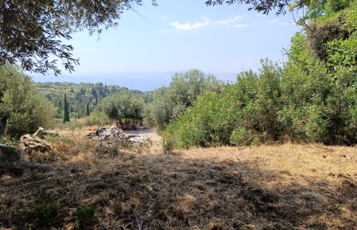 IMG_20250814_121623 – Αντιγραφή