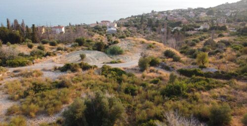 IMG-20260219-WA0006