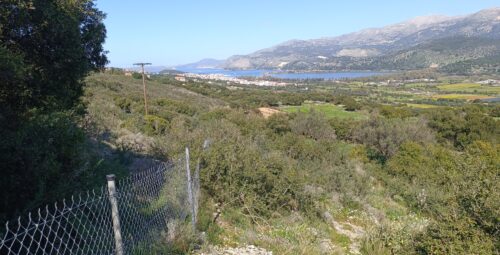 IMG_20260310_123548