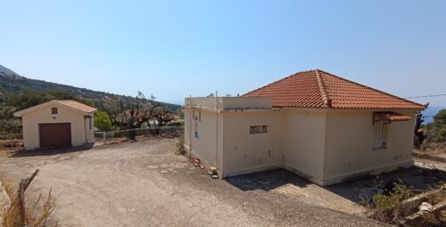 IMG_20260807_120224