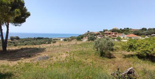 IMG_20260728_130106